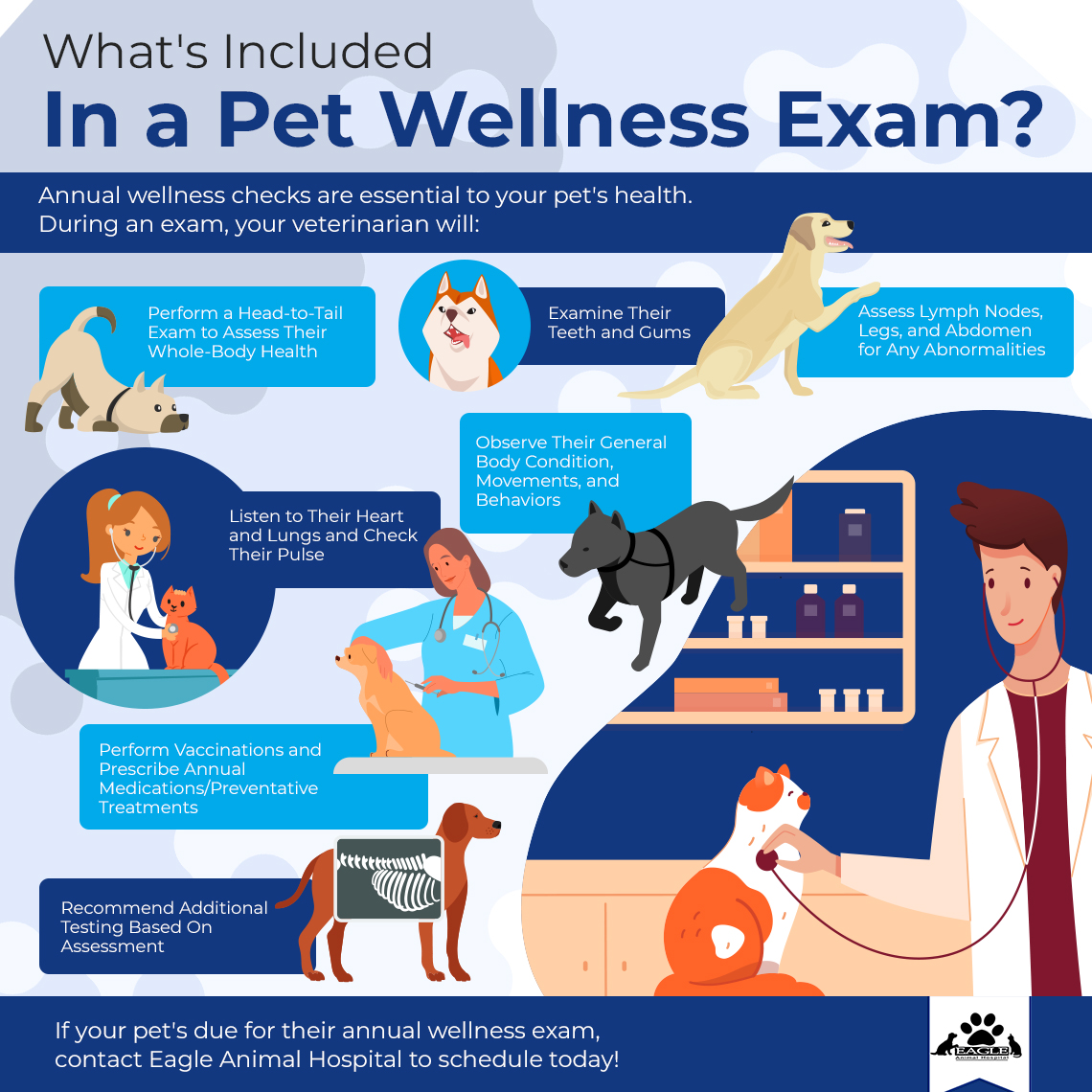 Infographic showing what happens in a wellness exam