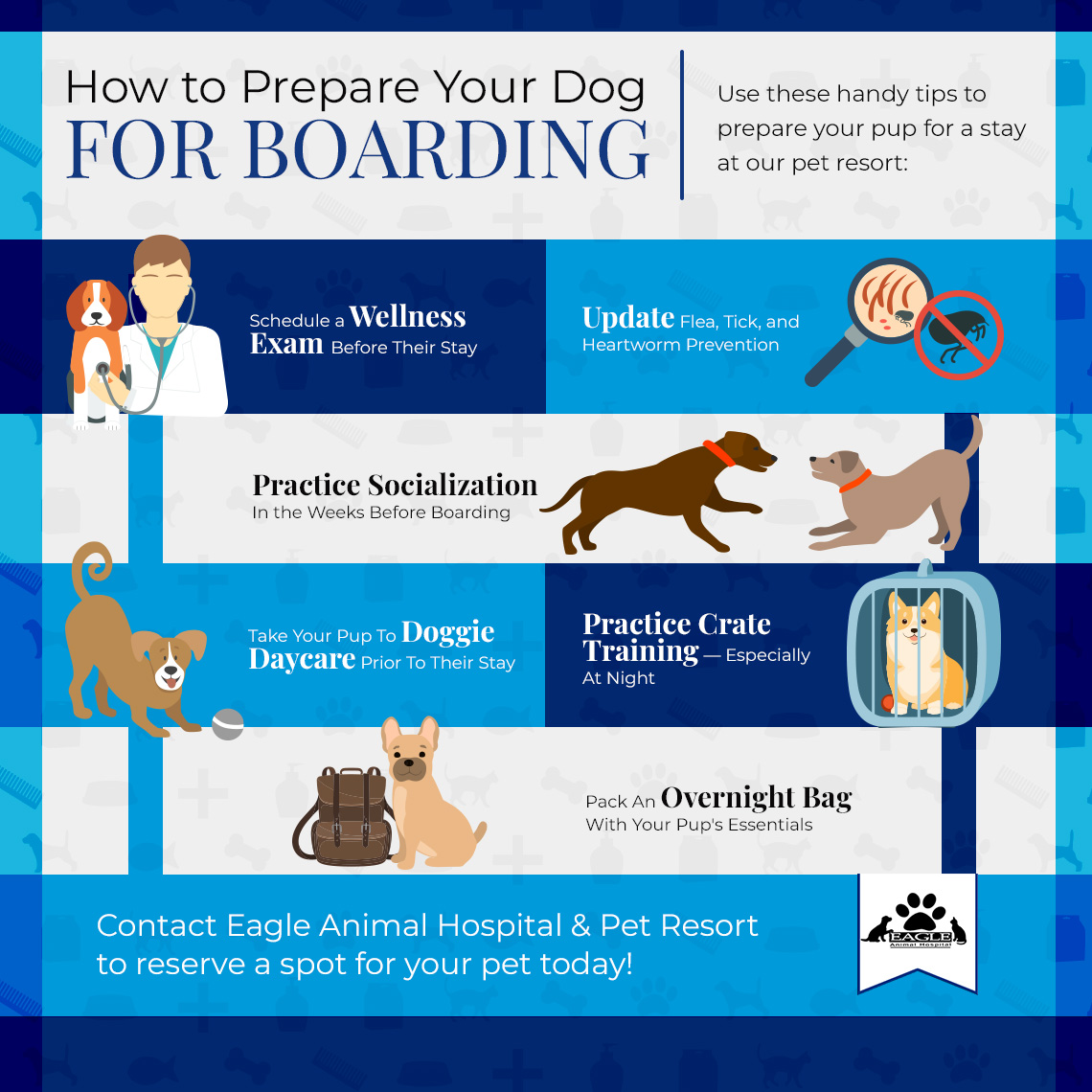 Infographic showing how to prepare your dag before boarding