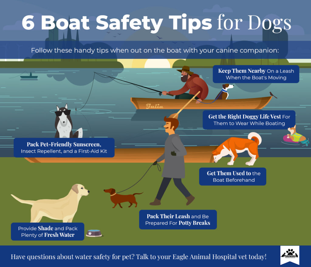 Infographic showing boat tips for dogs