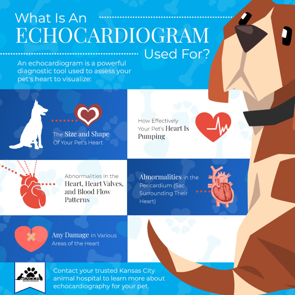 Infographic of a heart procedure