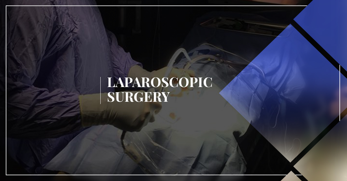 Pet Laparoscopic Surgery