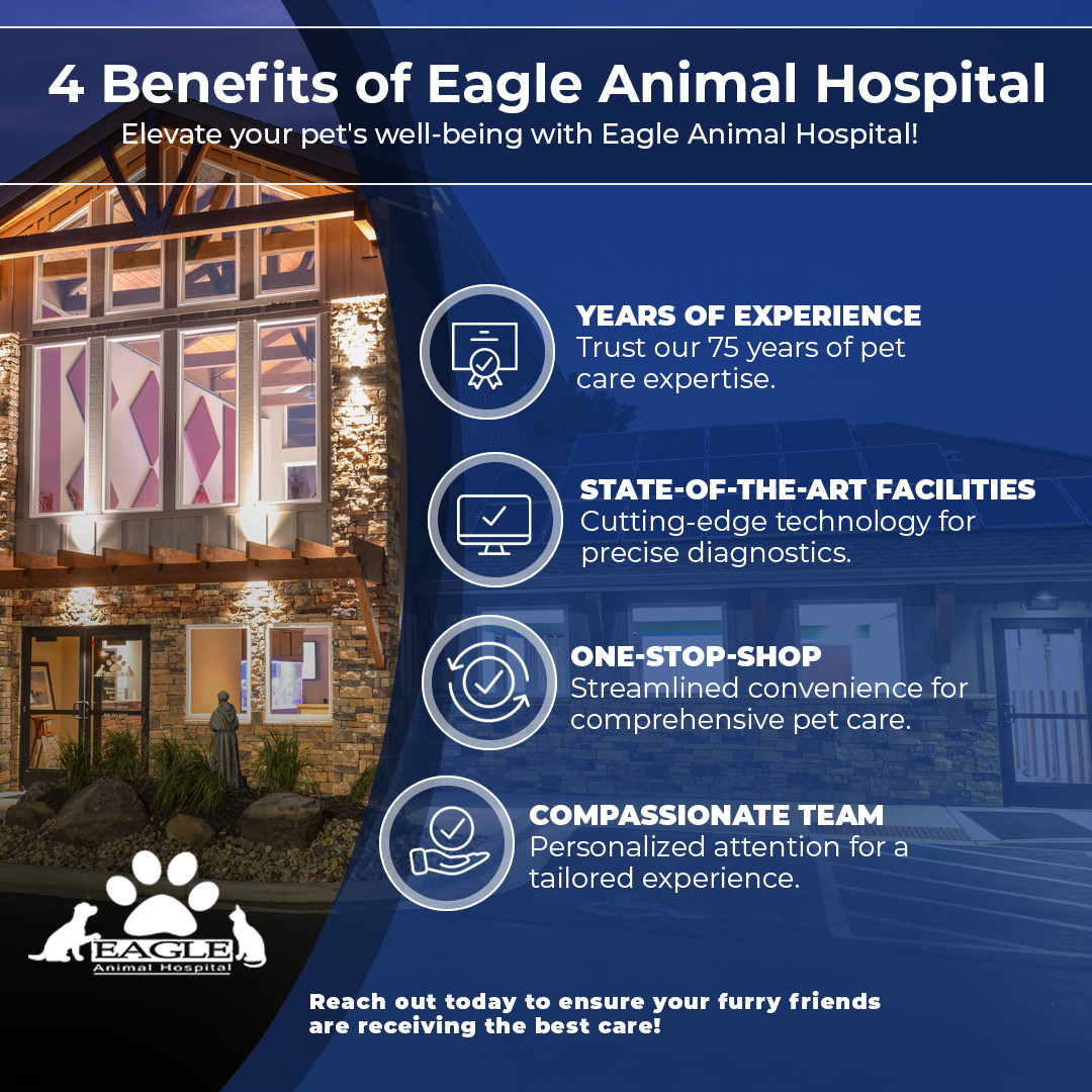 Infographic-4-Benefits-of-Eagle-Animal-Hospital