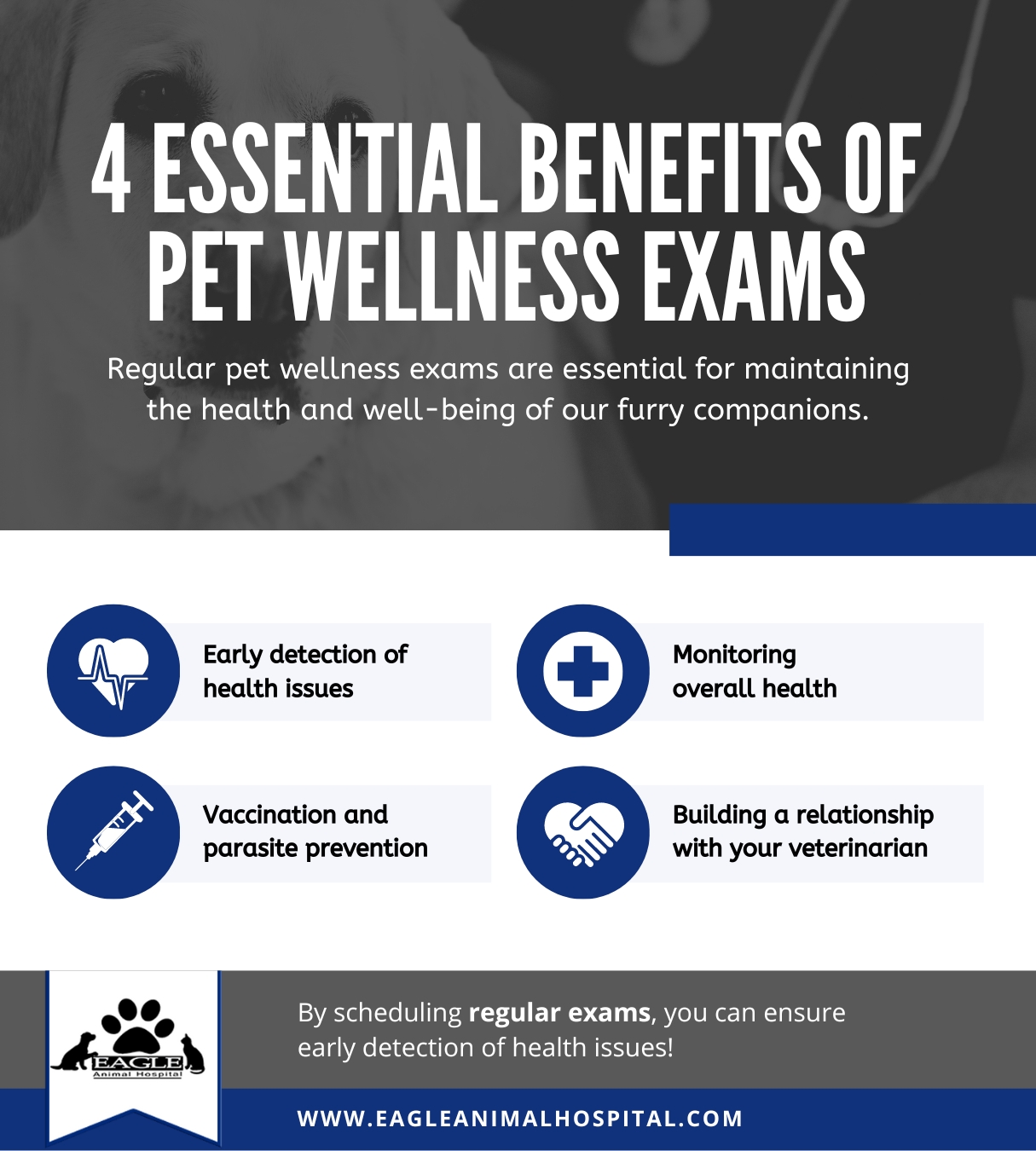 Infographic, 4 Essential Benefits of Pet Wellness Exams
