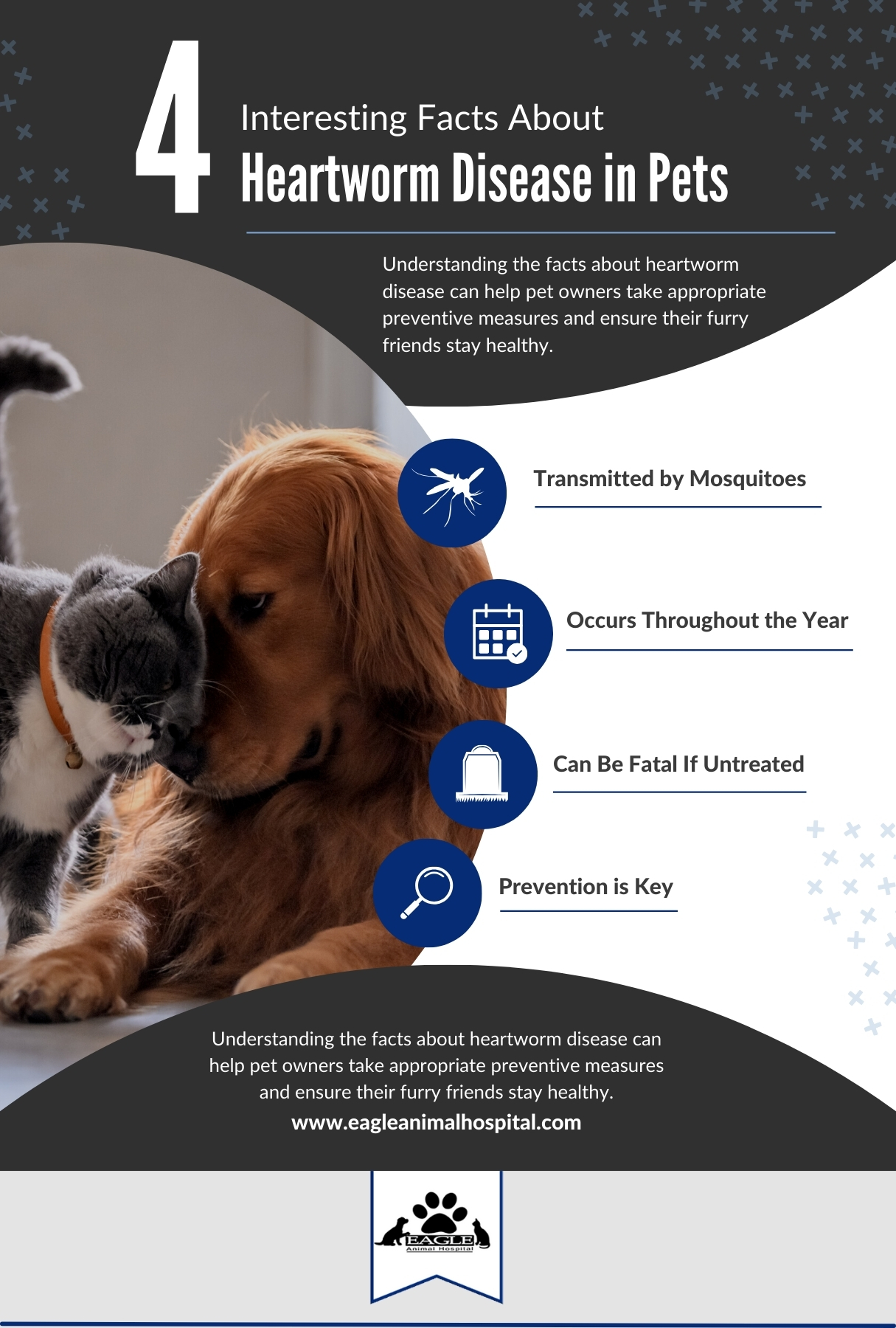 4 Interesting Facts About Heartworm Disease in Pets Infographic