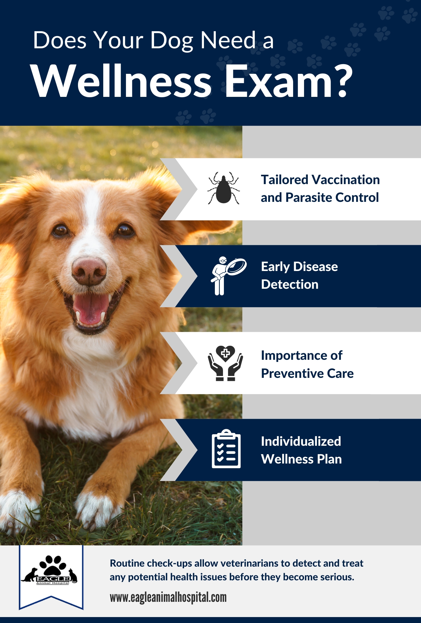 Infographic, Does Your Dog Need a Wellness Exam